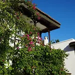 Homestay Totelya