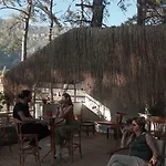Totelya Homestay Akyaka (Mugla)