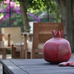 Totelya Akyaka (Mugla)