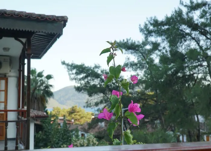 Totelya Accommodatie bij particulieren *